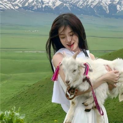 陌生人的慰籍